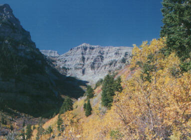 View of Timpanogos in the fall.