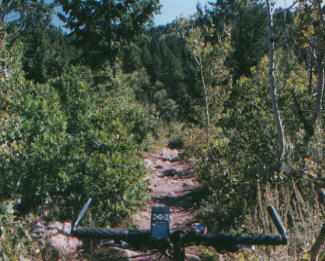 An average section of trail. Note rocks.